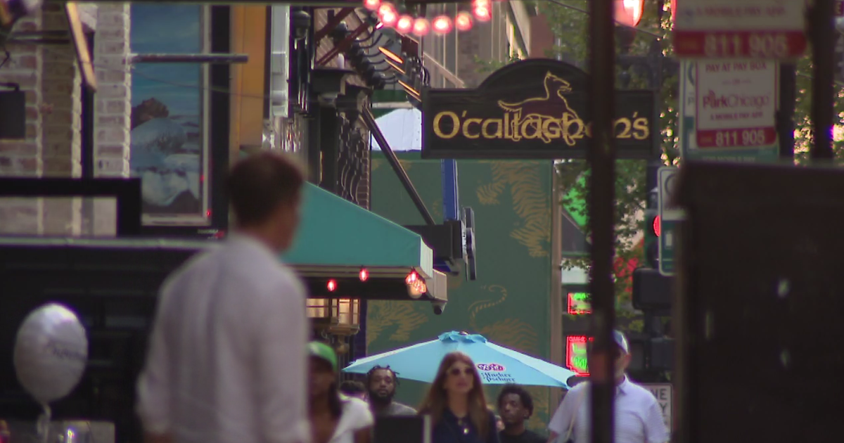 Teen charged in string of summer River North robberies targeting bar patrons - CBS News